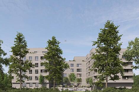 Жилье в Новом Дравле: 6