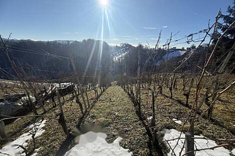 Дом на вершине Белой: 7