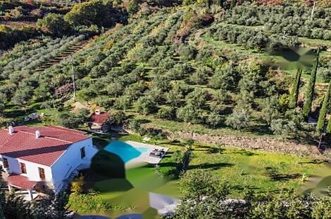 Копер, Семедела, дом: 15