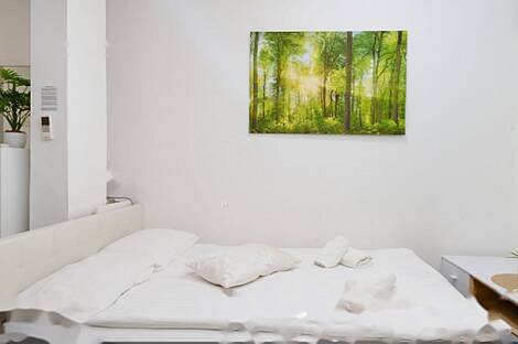 Жилье в центральной части Любляны: 9