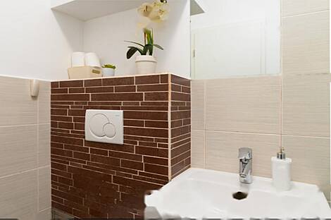 Жилье в центральной части Любляны: 11