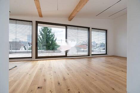 Новый многокомнатный дом в Любляне, район Бежиград.: 2