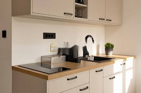 Студия-квартира в Новых Прулe: 5