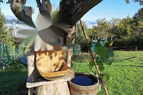 Дом Горе, ферма.: 7