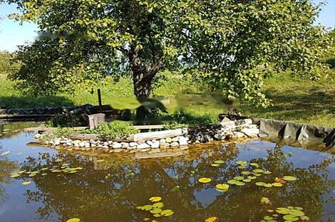 Дом Горе, ферма.: 11