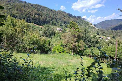 Дом, ферма Храстник: 9