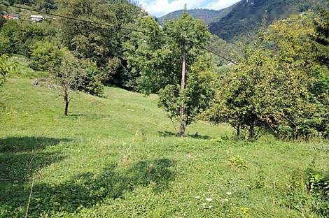 Дом, ферма Храстник: 10