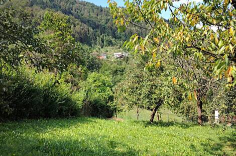 Дом, ферма Храстник: 11