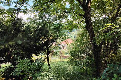 Дом, ферма Храстник: 13