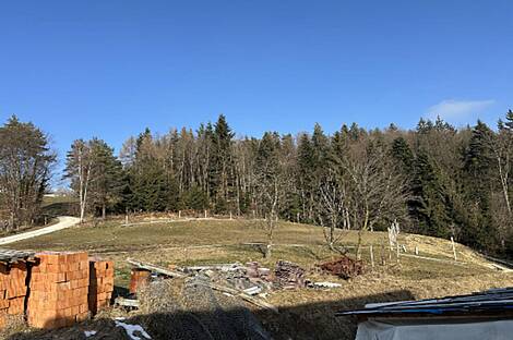 Владение, усадьба Каменная Гора.: 22