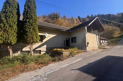 Часть усадьбы или фермы имени Коншица.: 3