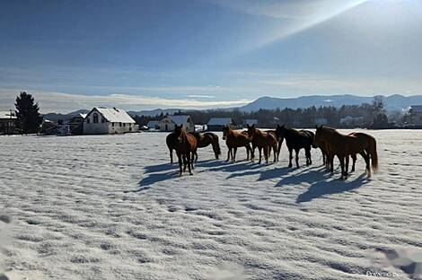 Ферма Любечна, двор.: 1