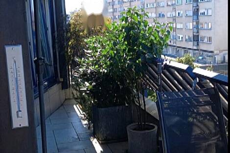 2-комнатная квартира, расположенная в центре: 9