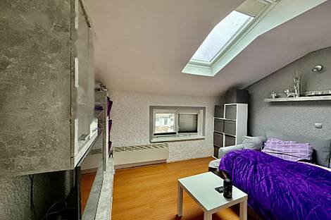 Однокомнатная квартира на Шишке: 4