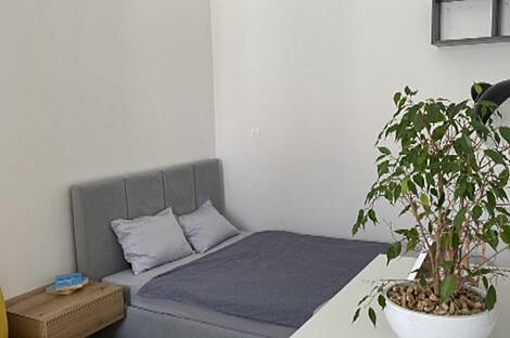 Жилье на улице Сломшкова: 11