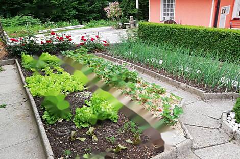 Дом в Состро: 11