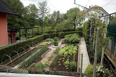 Дом в Состро: 13