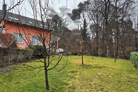 Дом в Состро: 15