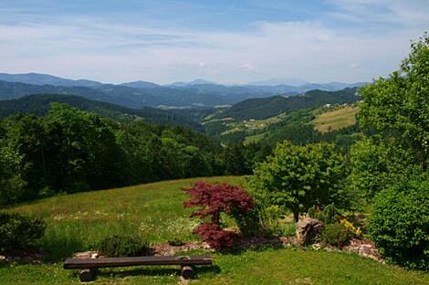 Дом 'Кметияново Ремшник': 1