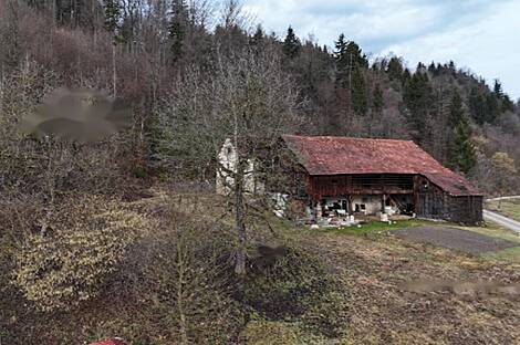 Дом Кметиянов в Любия, Мозирье: 3