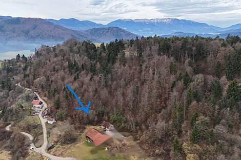 Дом Кметиянов в Любия, Мозирье: 5