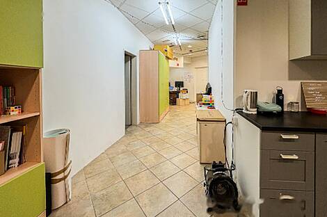 Коммерческая недвижимость в центральной части города: 7