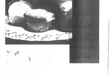 Штепаньско коммерческое помещение: 7