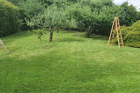 Дом, Бела-Бохиньска: 8