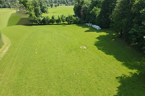 Дом, Студенчице: 17