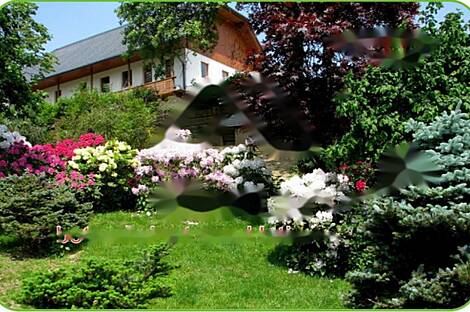 Дом в Верхней Липнице: 6