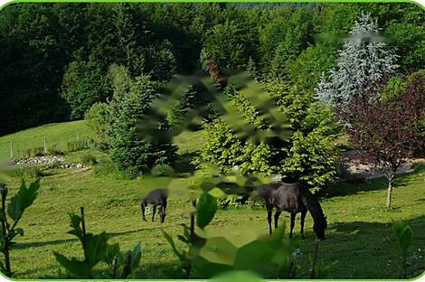 Дом в Верхней Липнице: 22