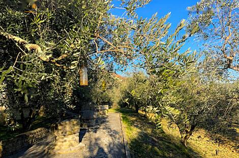 Особняк в Кркавче: 10