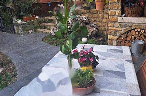 Резидентция, Порторож: 8