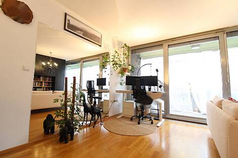 Шишка - это квартира с двумя комнатами: 5