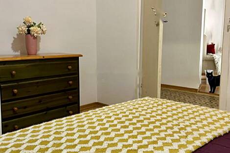 Центр, квартира с более чем 5 комнатами: 7