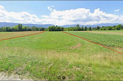 Дом в Жировнице.: 18