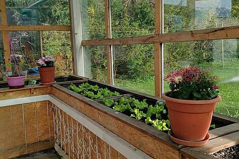 Жилище в Верхнем Горье: 3