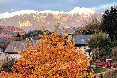 Жилище в Верхнем Горье: 4