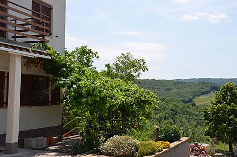 Жилище, Убеги: 9