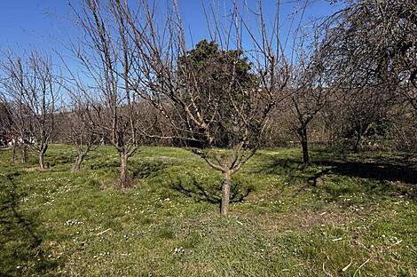 Обитель, Пиран, Паречаг: 9