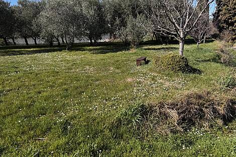 Обитель, Пиран, Паречаг: 12