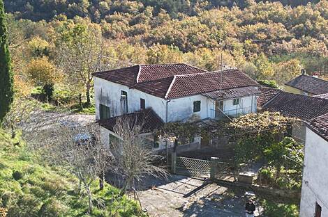 Село Козловичи дом: 2