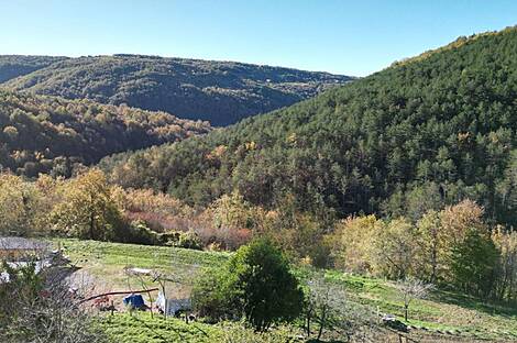 Село Козловичи дом: 6