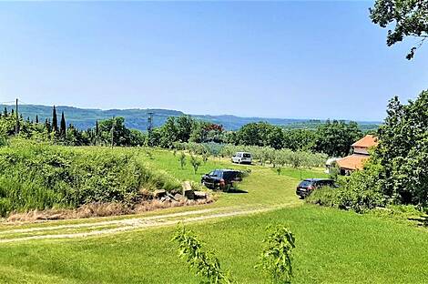 Дом с подсобными сооружениями: 1