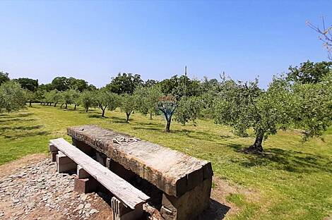 Дом с подсобными сооружениями: 26