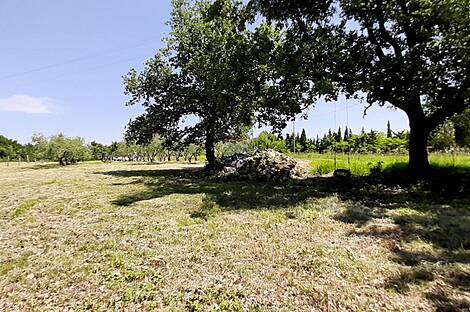 Дом с подсобными сооружениями: 29