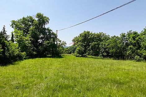 Дом с подсобными сооружениями: 30