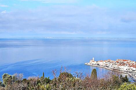 Жилище в Престижном Местоположении: 1