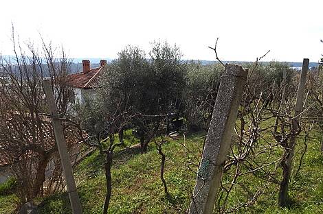 Лучия, дом, Камполин: 4