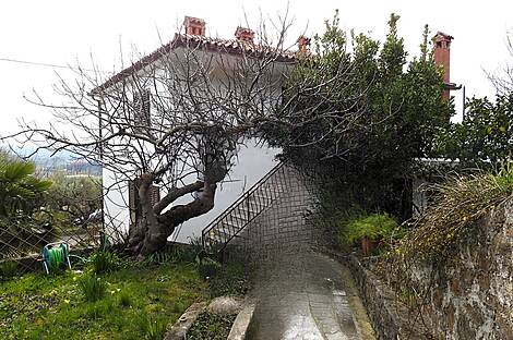 Лучия, дом, Камполин: 6